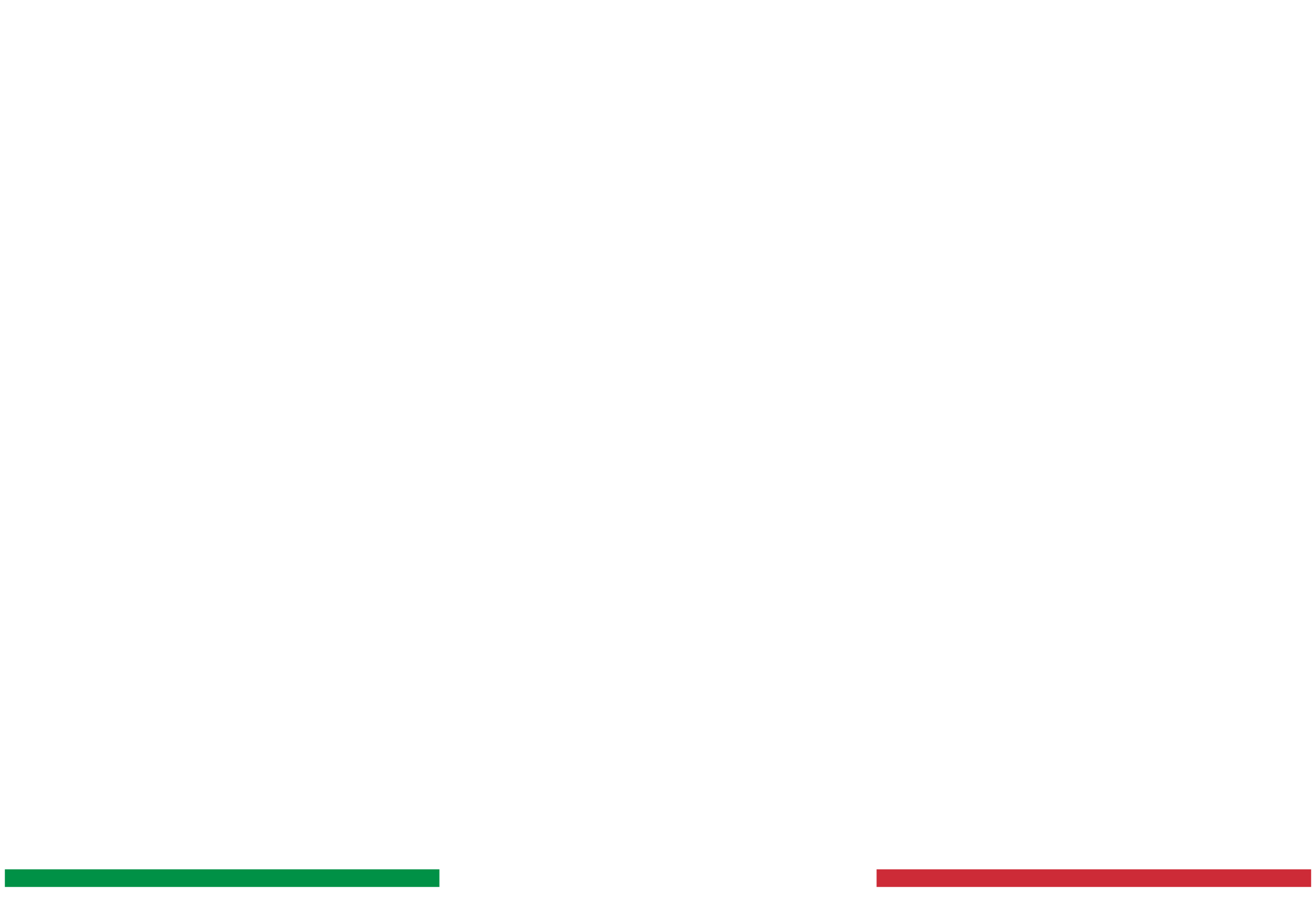 Logo Palocco Scacchi
